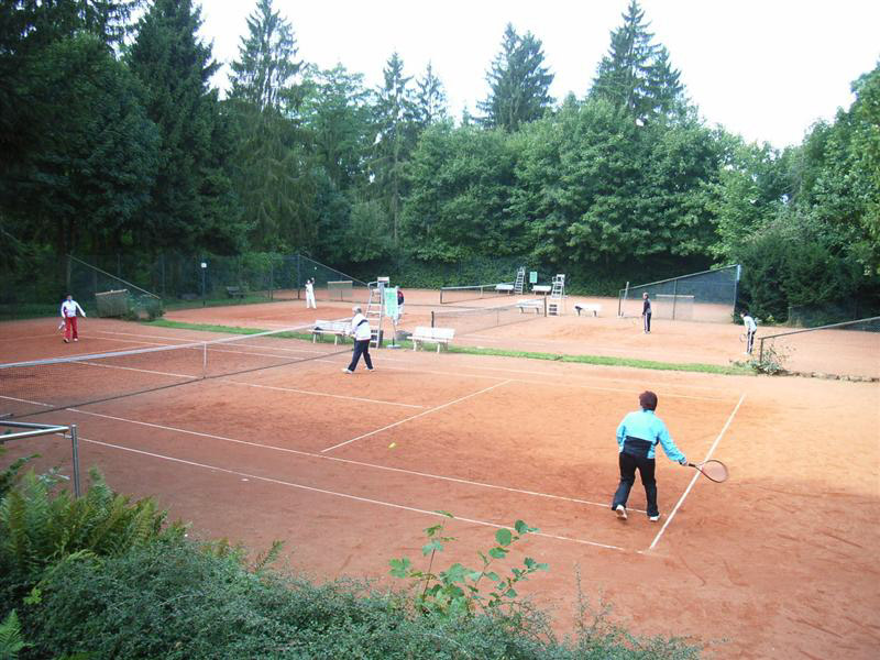 Schleifchentuniere 41