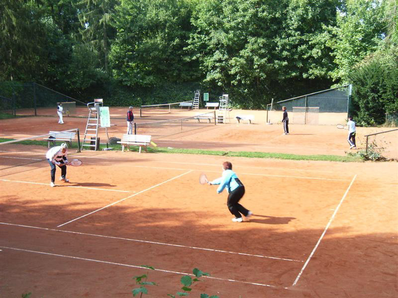 Schleifchentuniere 42