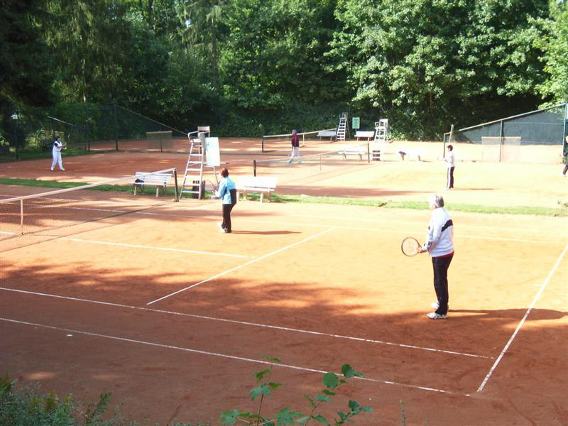 Schleifchentuniere 43