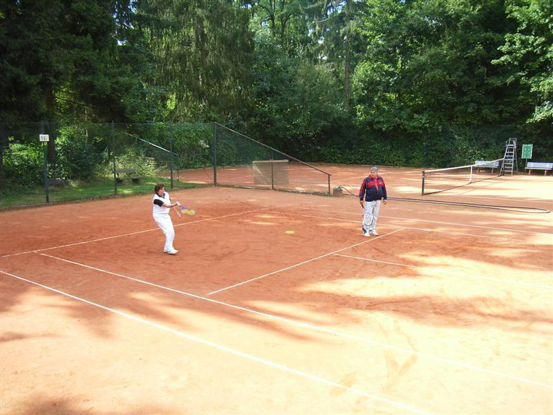 Schleifchentuniere 56