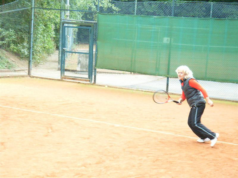 Schleifchentuniere 64